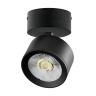 Светильник накладной LIGHTSTAR ALTA PRO A5547SO