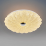 Светильник настенно-потолочный LIGHTSTAR ARCO SHELL 225650
